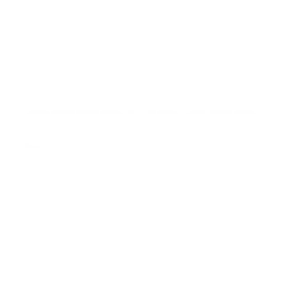 SEEBURGER logo